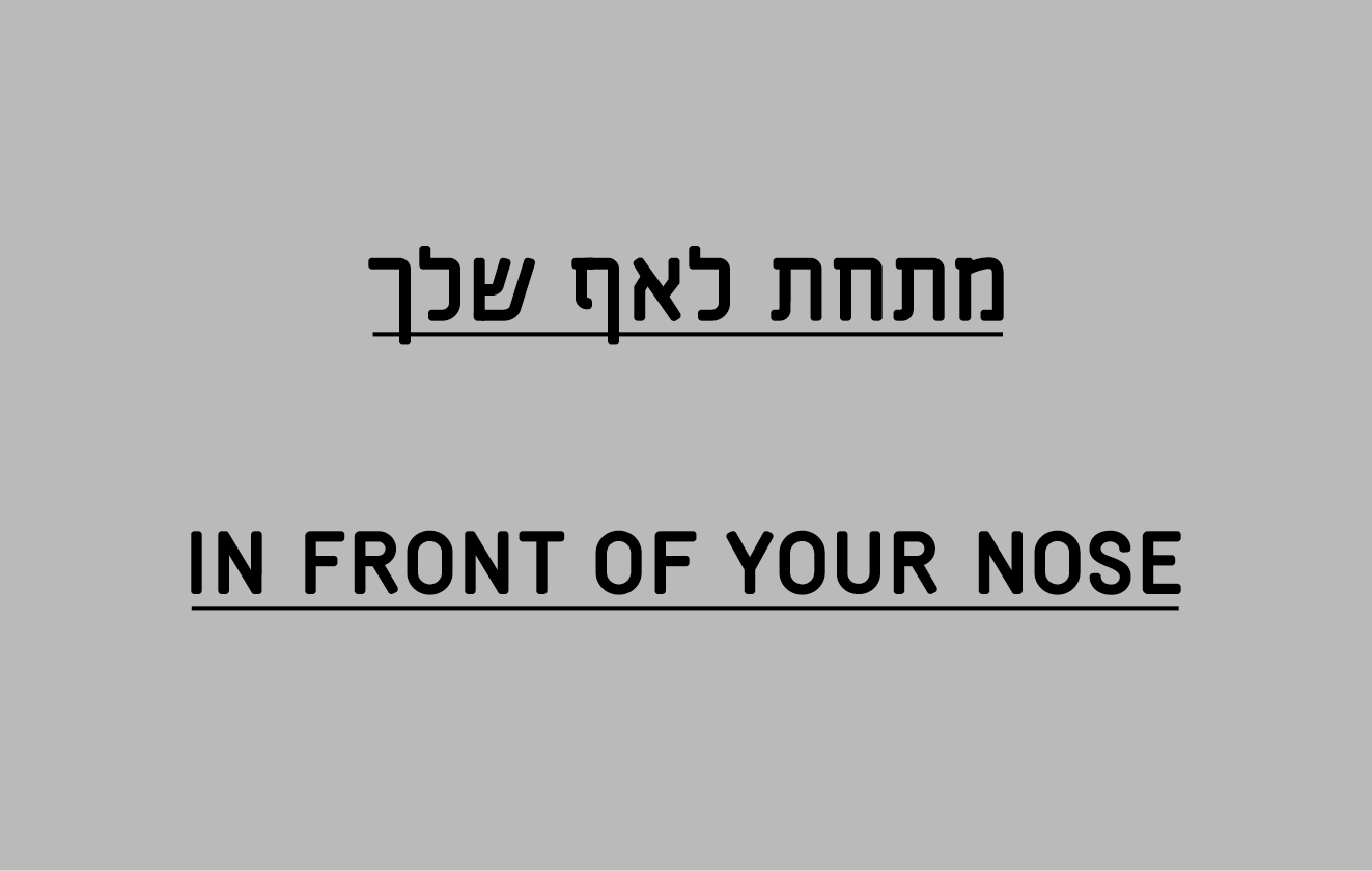 IN FRONT OF YOUR NOSE